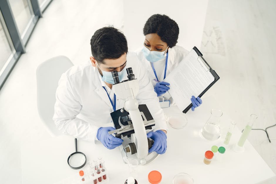 Facilitator leading a DISC training workshop